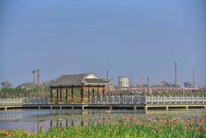 1542677980953714.jpg 640 (10)_了局-6ca82c51-14cc-4a29-aa0f-45374a3a99ba.jpg