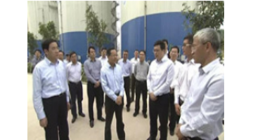 聚焦区域环境治理：广西壮族自治区主席陈武调查合乐HL8生态循环产业园