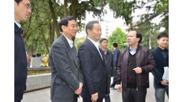 广西壮族自治区党委书记彭清华视察合乐HL8项目