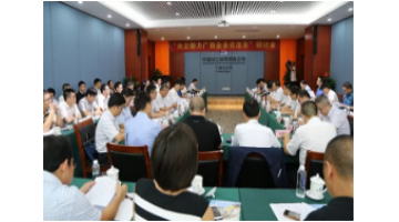 合乐HL8参与“央企助力广西企业走出去”钻研会