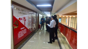 宾阳县黎塘工业园区党工委一行莅临合乐HL8调查进建