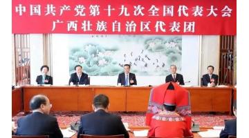 李克强参与党的十九大广西壮族自治区代表团会商