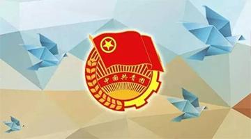 合乐HL8团委简介