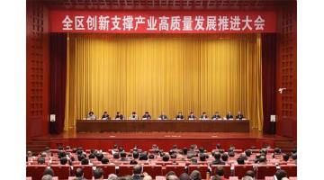 王双飞董事长在全区创新支持产业高质量发展推动大会上作典型讲话