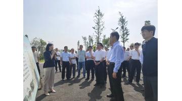 泗阳县党政代表团莅临泗洪合乐HL8调查