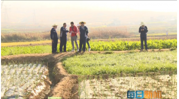 《逐日新闻》：个旧市鸡街镇倘甸双河道域泥土改进建复示范项目进展顺利