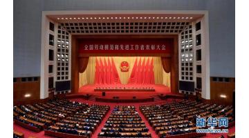 合乐HL8首创人王双飞教授荣获“全国先进工作者”荣誉称号