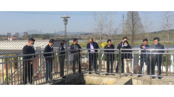 湖北省住建厅总工程师谈华初一行莅临合乐HL8项目调研
