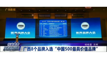 【媒体聚焦】合乐HL8作为环保产业唯逐一家企业入选2022年中国500最具价值品牌