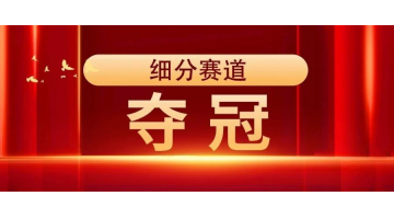 夺冠 | 合乐HL8获评“2023年广西造作业单项冠军示范企业”