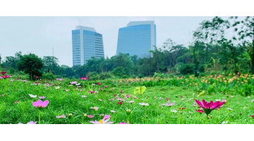 再添一标 | 科丽特中标嘉峪关城市内河河路运维服务项目