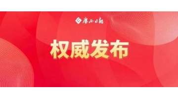 陈刚：对峙标本兼治聚力排查整治守牢生态底线，，，，，扎实推动有色金属产业高质量发展