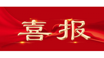合乐HL8股份项目获广西科技进取奖