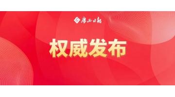 陈刚：标本兼治疏堵结合纵深推动排查整治，，，，，推动有色金属出格是关键金属产业高质量发展