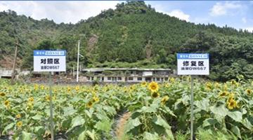 农田建复
