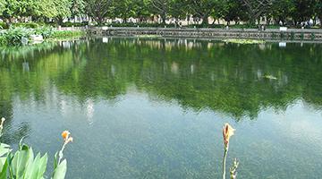 水生态建复